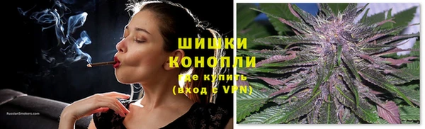 прущие грибы Баксан