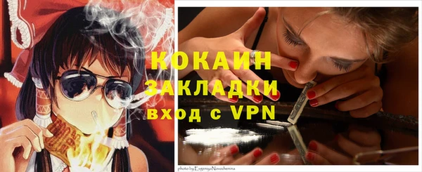 прущие грибы Баксан