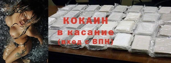 прущие грибы Баксан
