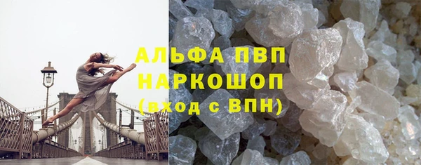 прущие грибы Баксан