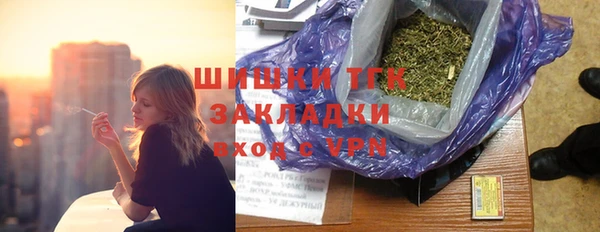 прущие грибы Баксан