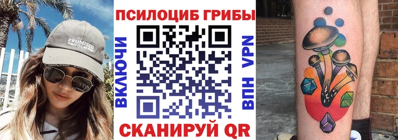 Псилоцибиновые грибы GOLDEN TEACHER  Купить закладки  Мещовск 