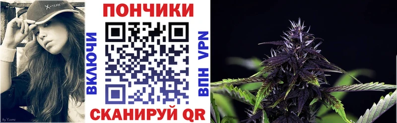 Купить где  Мещовск  Конопля план 